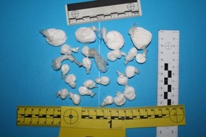 Slika PU_SD/amfetamin, 47.5 g web.JPG